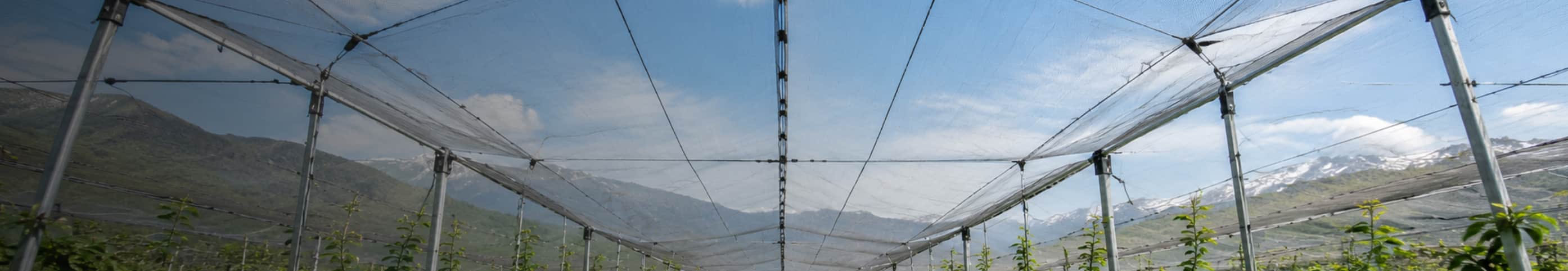 Filets de protection sur vergers et vignes