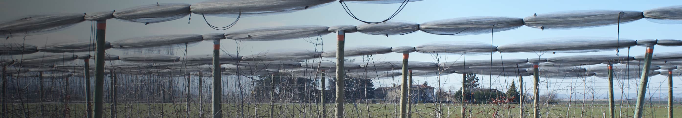 Structures porteuses en verger