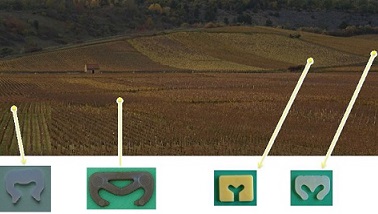 AGRAFES